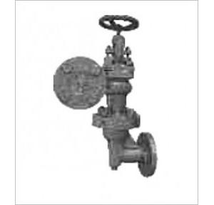 Sant Cast Iron Accessible Feed Check Valve Renewable Disc 65 mm, CI 5D